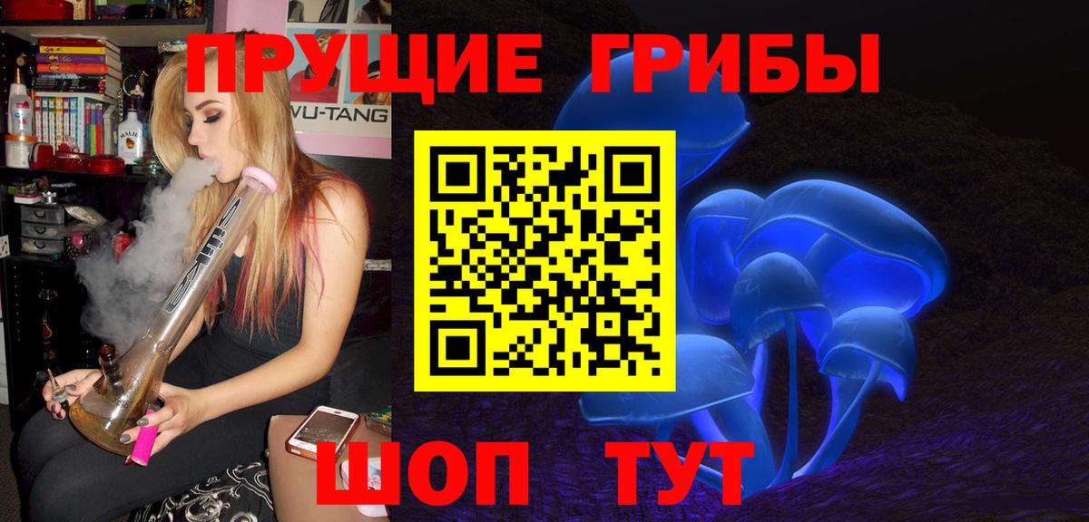 Сафоново  Галлюциногенные грибы мицелий  Вход с VPN  Псилоцибиновые грибы GOLDEN TEACHER 