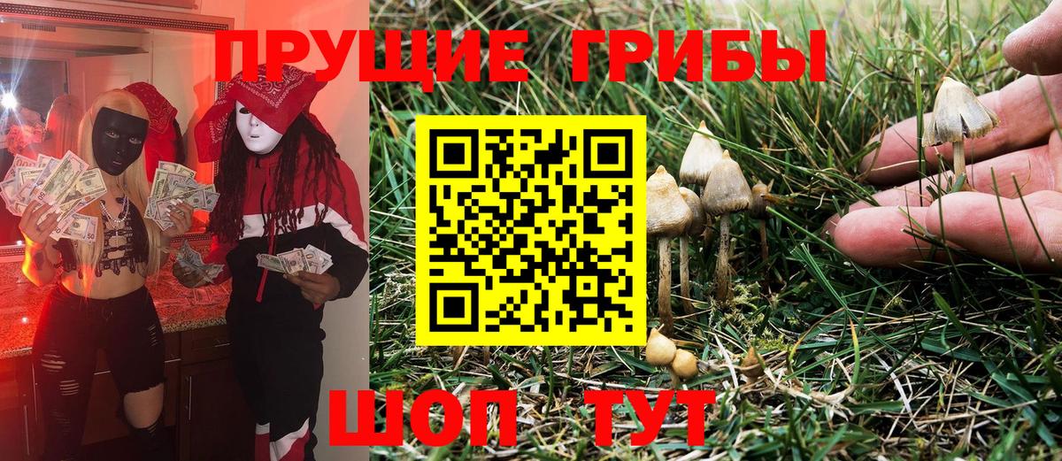 Галлюциногенные грибы GOLDEN TEACHER Сафоново