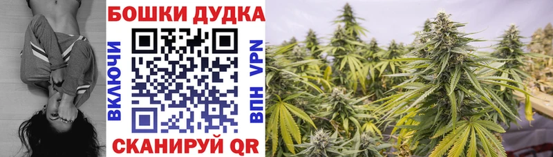 сайты даркнета какой сайт  Сафоново  Канабис семена  сколько стоит 
